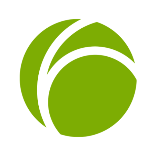 fidor logo